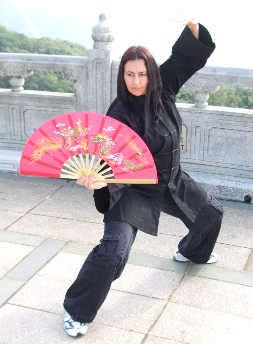 Red Tai Chi fan in pose 